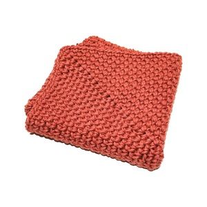 Crocheted Farmhouse Wash/dishcloth (1)